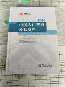 中国人口普查分县资料-2020