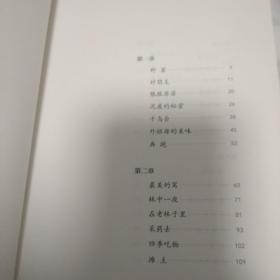 我的原野盛宴（茅盾文学奖获奖作家张炜全新力作）  2020年一版  2022年三印  张炜  人民文学出版社