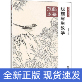 線描寫生教學(xué)臨摹范本