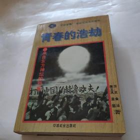 青春的浩劫:来自东方神坛的档案