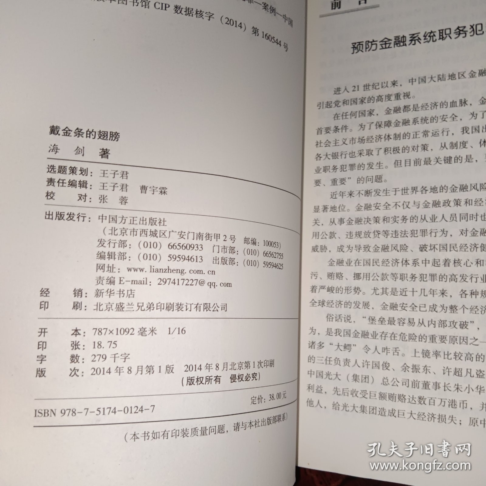 戴金条的翅膀(中国金融领域重案深度调查)/反腐密档