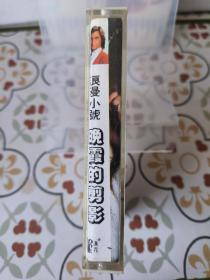 浪漫小号，晚霞的剪影