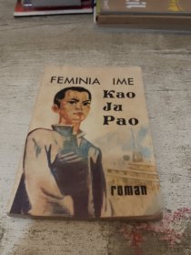FEMINIA IME KAO JU PAO roman