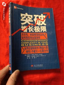 突破增长极限：沃尔玛、丰田等顶级企业如何驾驭商业复杂性 （16开）