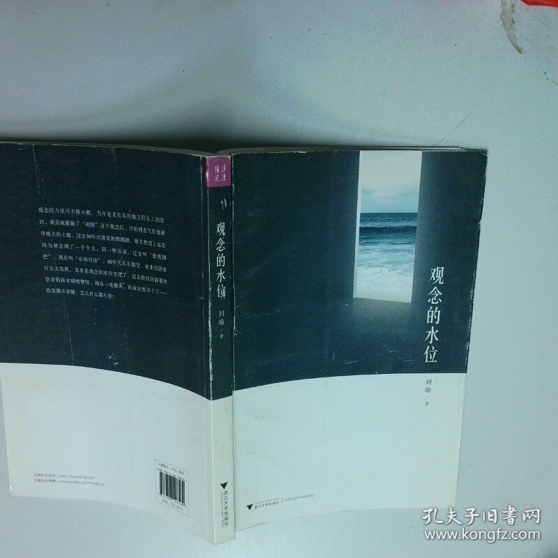 观念的水位  刘瑜 浙江大学出版社