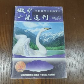 微型小说选刊2007.11