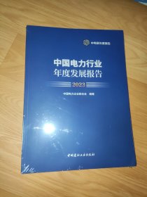 中国电力行业年度发展报告 2023