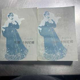 安娜 卡列尼娜上下册