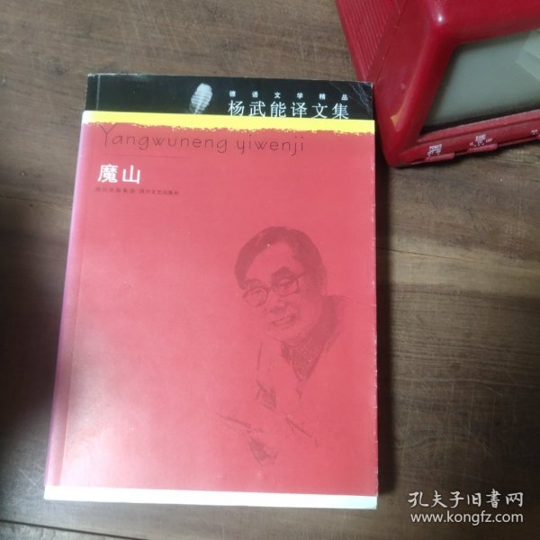 杨武能译文集：魔山：德语文学精品