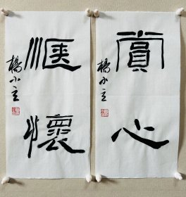 杨小立 ，中国书法家协会会员，河南省南阳市书协副秘书长，宛城区书法家协会副主席兼秘书长。男，1972年出生。 入展获奖： “青川木牍杯”首届全国隶书书法大赛中入展(四川省书协)； 2022“中国书法·年展”全国篆书、隶书、篆刻作品展前41名，获得面试考核(中书协)…… 《赏心、惬怀》，小品一幅。保真，来自作者，17x34cm x 2，未装裱，附同批作品合影。d7572。