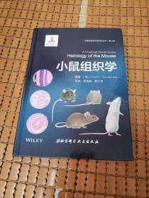 小鼠组织学