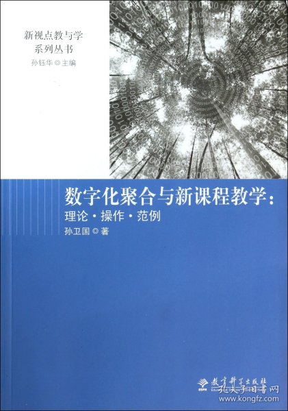 数字化聚合与新课程教学 : 理论·操作·范例