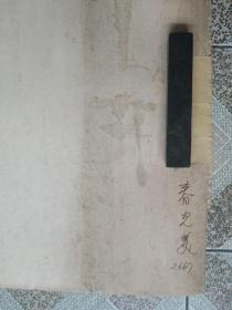 陆之甫 1986年设计画作 床单被单原稿(春光美)之一花月图案