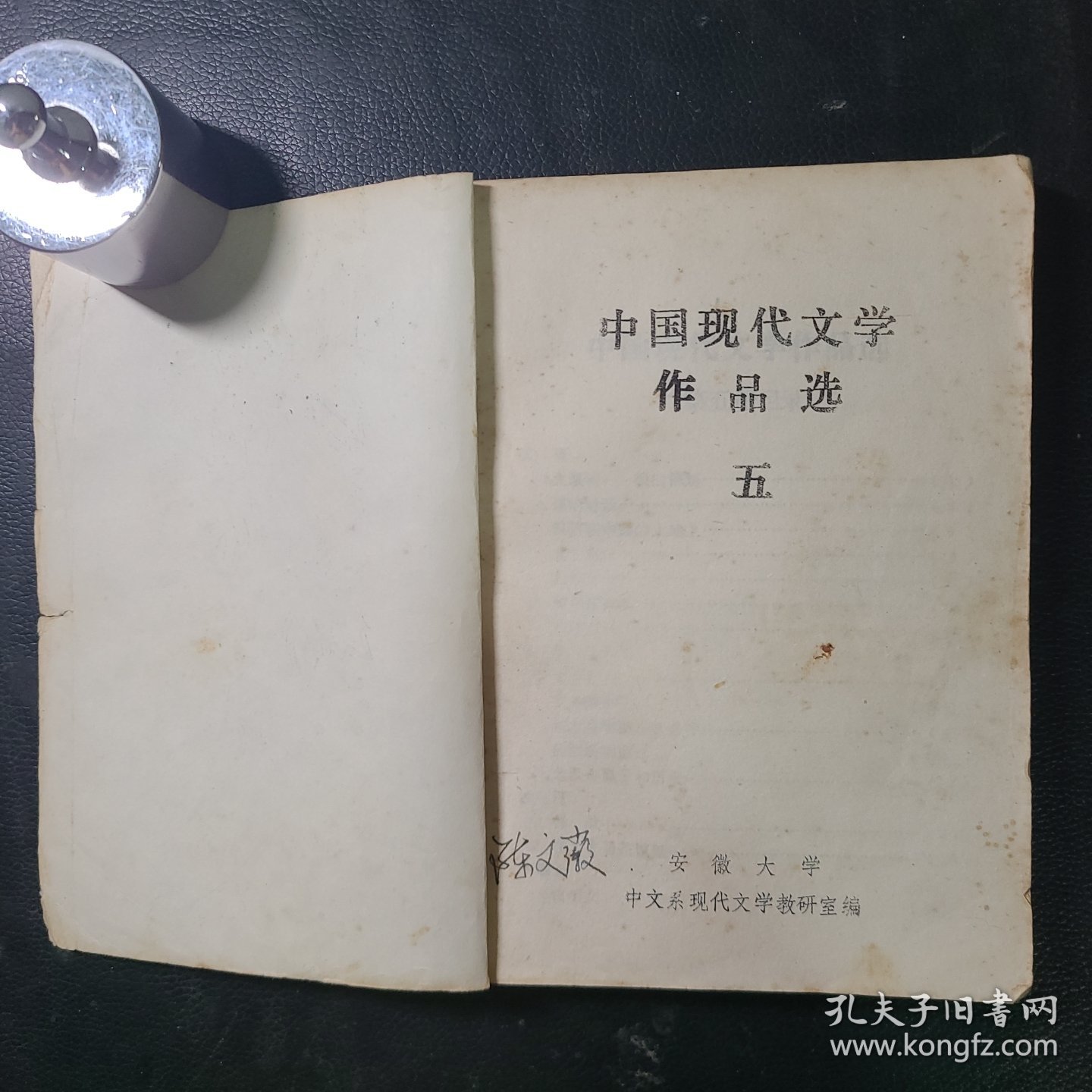 中国现代文学作品选五