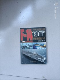 历代主力战机完全档案：F-14“雄猫”重型舰载战斗机