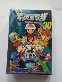精灵宝可梦-30-特别篇