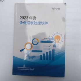 2023年度企业报表处理软件