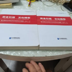 安全引领，文化铸安，第三届企业安全文化优秀论文选编，，〈上下二册〉全，内页干净