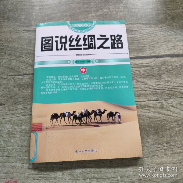 图说中国历史：图说丝绸之路