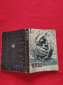 雕林漫步
