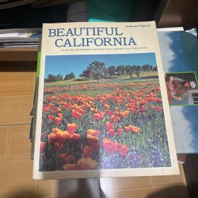 BEAUTIFUL CALIFORNIA 美丽的加利福尼亚