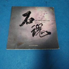 石魂：中国·朝阳古生物化石巡礼（一版一印，仅印3000册）