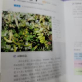 精编中草药原色图谱