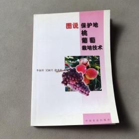 圖說保護地桃葡萄栽培技術(shù)