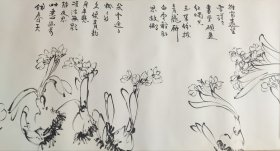 （保真出售）曹明冉 水仙、牡丹 白描大长卷画稿（20米x46cm）