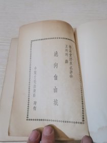 逃向自由城