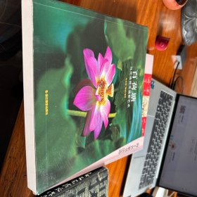 百荷塘 : 马元浩荷花摄影艺术