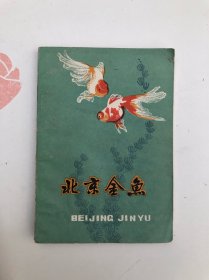 北京金鱼