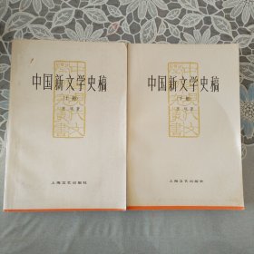 中国新文学史稿