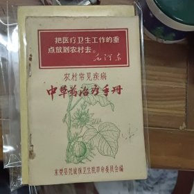 中草药治疗手册