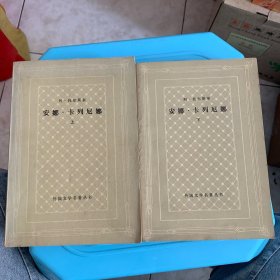 安娜·卡列尼娜（全两册）