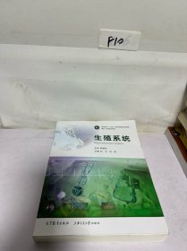 生殖系统