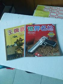 MINI彩图书架（世界名枪＋王牌武器）两本合售