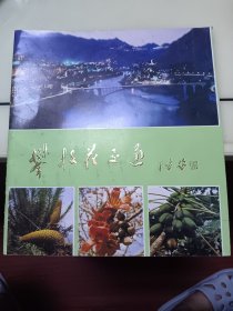 攀枝花交通