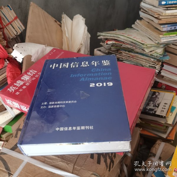 中国信息年鉴 2019