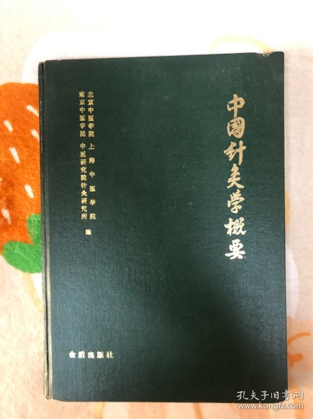 中国针灸学概要