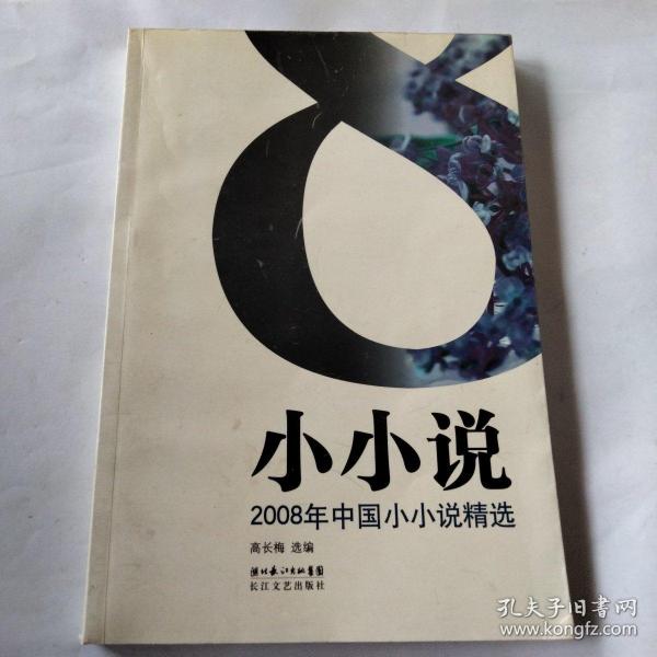 2008年中国小小说精选