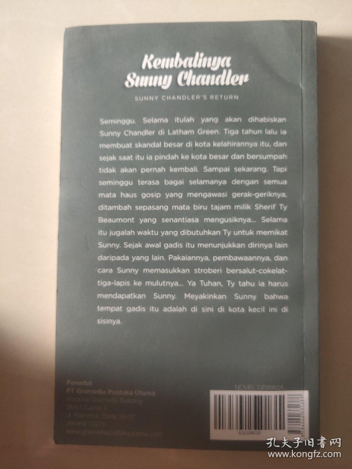 Kembalinya sunny chandler 印尼语版小说 全新