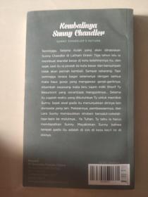Kembalinya sunny chandler 印尼语版小说 全新