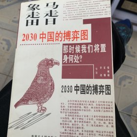 马走日.象走田-2030中国的搏弈图