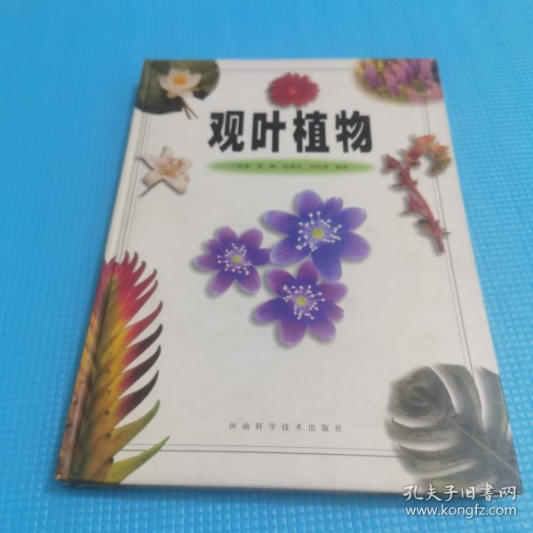 观叶植物（彩图版）