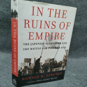 IN THE RUINS OF EMPIRE 在帝国的废墟中