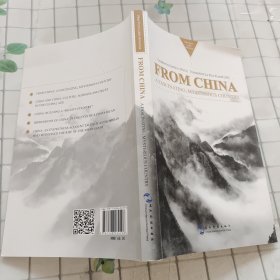 拉美专家看中国系列-来自中国：迷人之境的报道（英）