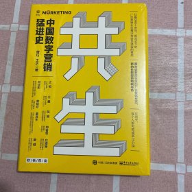 共生：中国数字营销猛进史