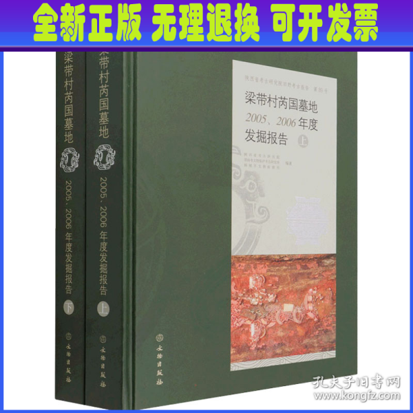 梁带村芮国墓地:2005、2006年度发掘报告