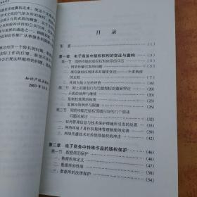 电子商务知识产权法律制度研究